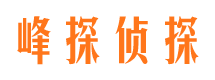 荔蒲市私家侦探